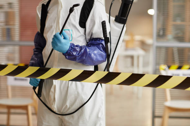 Professional Trauma Scene Cleanup technician working in Springville, UT